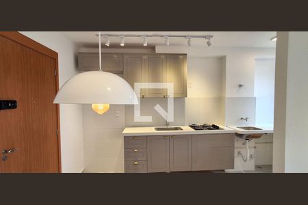Cozinha de apartamento para alugar com 2 quartos, 36m² em Vila Palmares, São Caetano do Sul