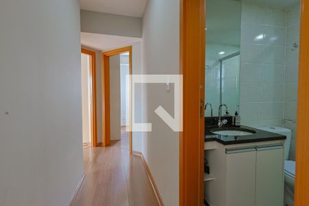 Apartamento à venda com 3 quartos, 80m² em Sagrada Família, Belo Horizonte