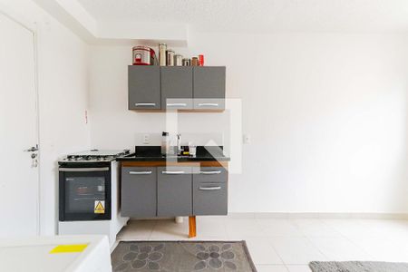Cozinha e Área de Serviço de apartamento para alugar com 2 quartos, 1601m² em Jardim Celeste, São Paulo