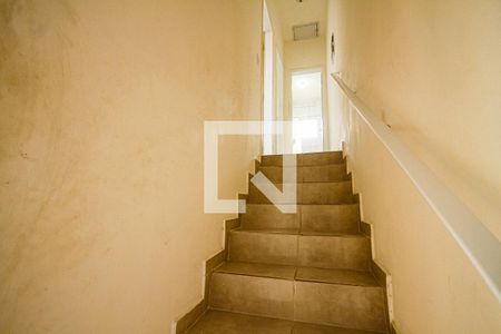 Escada de casa de condomínio para alugar com 2 quartos, 68m² em São José do Rio Preto, Praia Grande