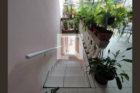 Escada  de casa para alugar com 1 quarto, 125m² em Jardim Santa Emilia, São Paulo