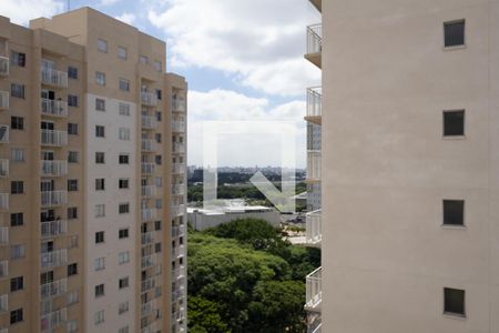 Apartamento à venda com 2 quartos, 34m² em Várzea da Barra Funda, São Paulo