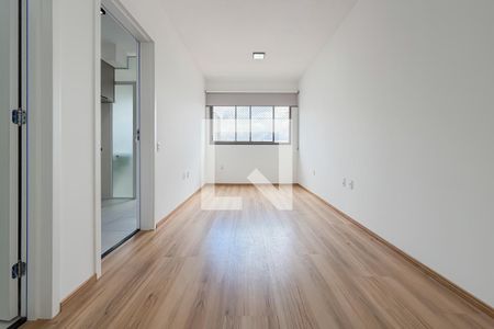 Sala e Quarto de apartamento para alugar com 1 quarto, 28m² em Vila Dom Pedro I, São Paulo