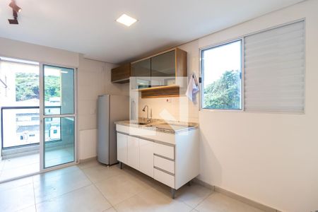Sala e Cozinha de apartamento para alugar com 1 quarto, 30m² em Imirim, São Paulo