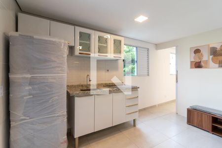 Sala e Cozinha de apartamento para alugar com 1 quarto, 30m² em Imirim, São Paulo