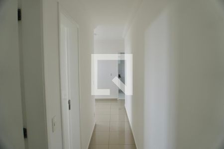 Corredor de apartamento para alugar com 2 quartos, 49m² em Vila Amaral, Belo Horizonte