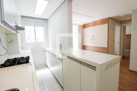 Cozinha de apartamento para alugar com 2 quartos, 41m² em Santo Amaro, São Paulo