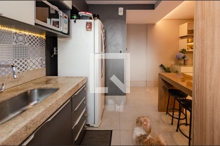 Cozinha de apartamento para alugar com 3 quartos, 77m² em Grajaú, Belo Horizonte