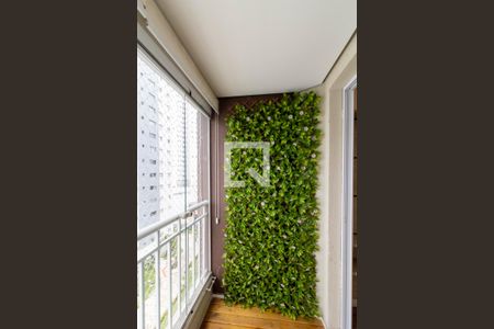 Apartamento para alugar com 2 quartos, 50m² em Vila Augusta, Guarulhos