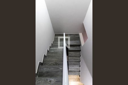 Casa para alugar com 5 quartos, 200m² em Vila Progredior, São Paulo