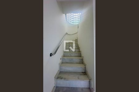 Escadas de apartamento à venda com 5 quartos, 242m² em Gutierrez, Belo Horizonte