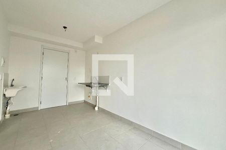 Sala/Cozinha de apartamento para alugar com 1 quarto, 30m² em Planalto Paulista, São Paulo