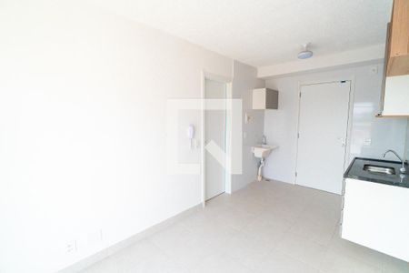 Sala/Cozinha de apartamento para alugar com 1 quarto, 30m² em Planalto Paulista, São Paulo