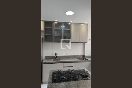 Cozinha de apartamento para alugar com 2 quartos, 49m² em Palmeiras, Belo Horizonte