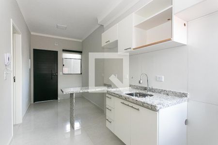 Cozinha de apartamento para alugar com 2 quartos, 33m² em Vila Carrão, São Paulo