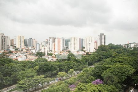 Vista da Varanda gourmet de apartamento à venda com 3 quartos, 85m² em Vila Monte Alegre, São Paulo