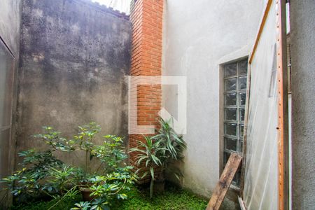 Jardim de inverno de casa para alugar com 3 quartos, 400m² em Campestre, Santo André