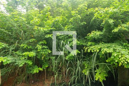 Vista do Quarto 1 de casa de condomínio para alugar com 2 quartos, 70m² em Guaratiba, Rio de Janeiro