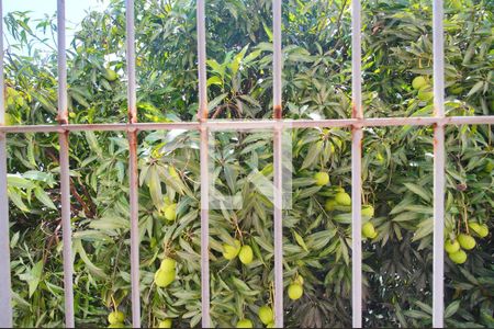 Vista da Sala de apartamento para alugar com 2 quartos, 50m² em São Miguel, São Leopoldo