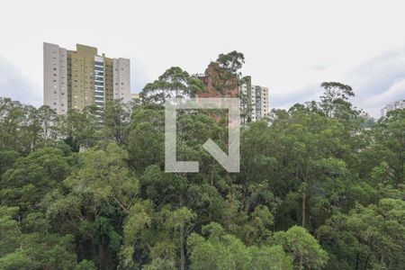 Vista da Varanda da Sala de apartamento para alugar com 3 quartos, 133m² em Vila Andrade, São Paulo