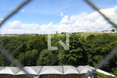 Sala - Vista de apartamento para alugar com 2 quartos, 50m² em Jardim Myrian Moreira da Costa, Campinas