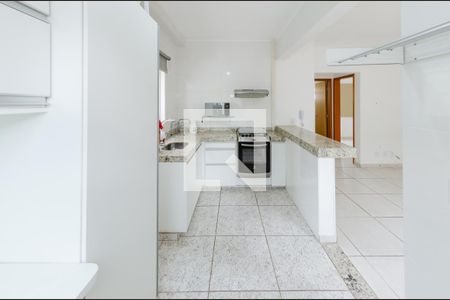 Cozinha de apartamento para alugar com 2 quartos, 50m² em Havaí, Belo Horizonte