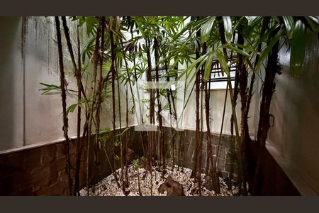 Jardim  de casa à venda com 3 quartos, 150m² em Jardim Ester Yolanda, São Paulo