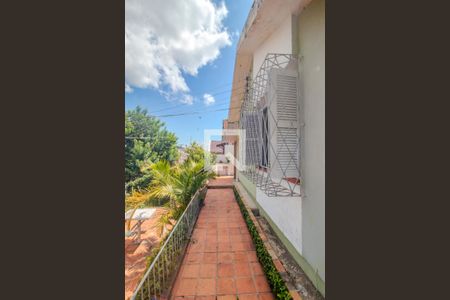 Jardim de casa à venda com 5 quartos, 304m² em Cavalhada, Porto Alegre