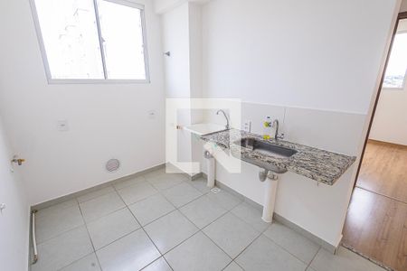 cozinha de apartamento para alugar com 2 quartos, 45m² em Juliana, Belo Horizonte