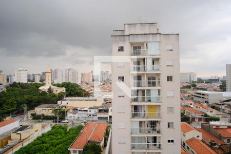 Vista da Varanda de apartamento para alugar com 2 quartos, 63m² em Vila Moreira, São Paulo