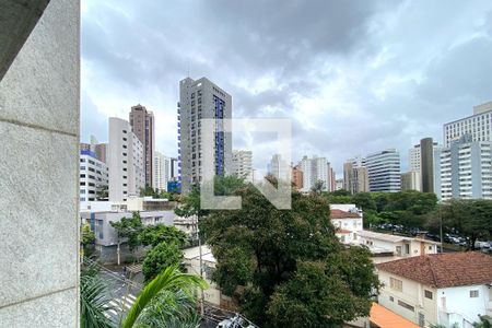 Vista da Varanda da Sala de apartamento para alugar com 3 quartos, 95m² em Funcionários, Belo Horizonte