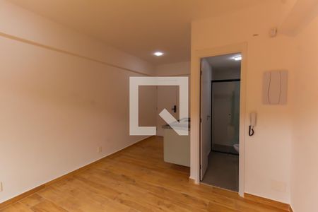 Sala/Quarto de apartamento para alugar com 1 quarto, 24m² em Belenzinho, São Paulo