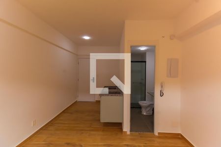Sala/Quarto de apartamento para alugar com 1 quarto, 24m² em Belenzinho, São Paulo