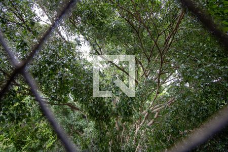 Vista Sacada de apartamento para alugar com 2 quartos, 57m² em Chacara Nossa Senhora do Bom Conselho, São Paulo