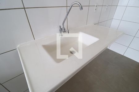 Cozinha de apartamento para alugar com 2 quartos, 48m² em Morada da Colina, Uberlândia
