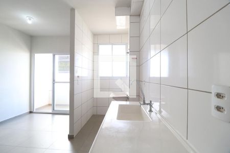 Cozinha de apartamento para alugar com 2 quartos, 48m² em Morada da Colina, Uberlândia