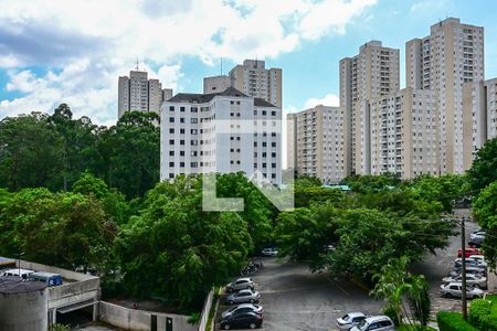 Vista de apartamento para alugar com 2 quartos, 52m² em Jardim Henriqueta, Taboão da Serra