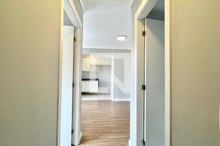 Corredor  de apartamento para alugar com 2 quartos, 50m² em Vila Santa Catarina, São Paulo