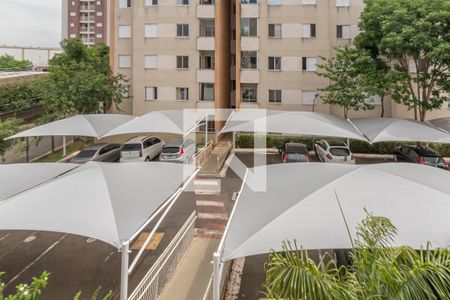 Vista Sala de Estar/Jantar de apartamento para alugar com 2 quartos, 51m² em Chacara Santa Antonieta (nova Veneza), Sumaré