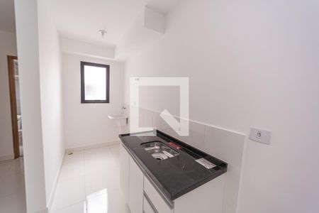 Cozinha e Área de Serviço de apartamento para alugar com 2 quartos, 48m² em Vila Sao Geraldo, São Paulo