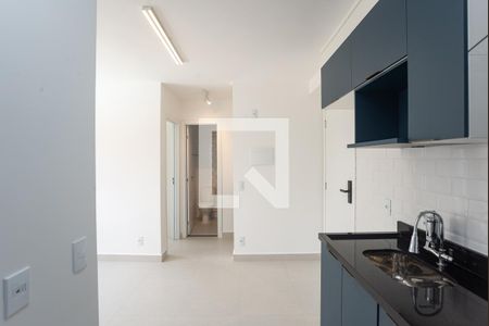 Cozinha Americana de apartamento para alugar com 2 quartos, 36m² em Várzea da Barra Funda, São Paulo