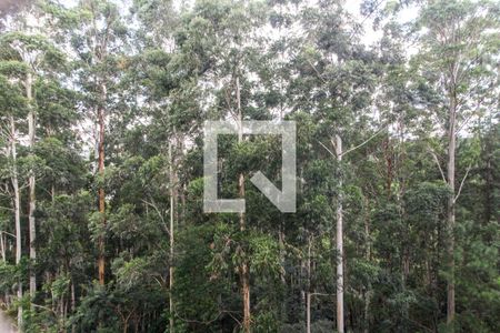 Vista da Varanda de apartamento para alugar com 3 quartos, 202m² em Residencial Tambore Iii, Santana de Parnaíba