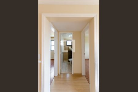 Corredor de apartamento para alugar com 2 quartos, 47m² em Vila Mangalot, São Paulo