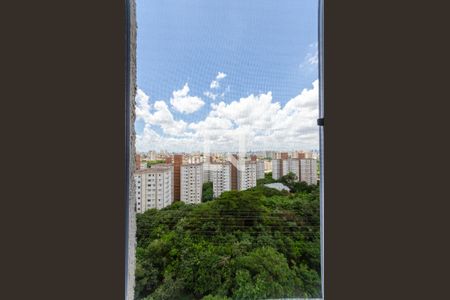 Quarto 1 -Janela de apartamento à venda com 2 quartos, 43m² em Jardim Iris, São Paulo