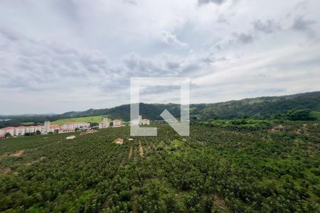 Vista da Varanda da Sala de apartamento para alugar com 2 quartos, 49m² em Parque dos Cocais, Valinhos