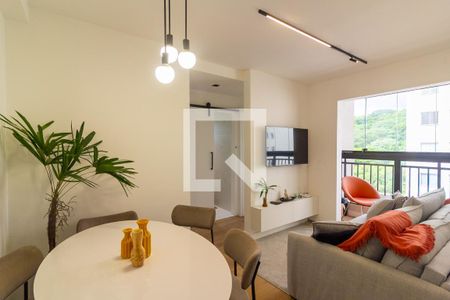 Apartamento para alugar em Usina Piratininga