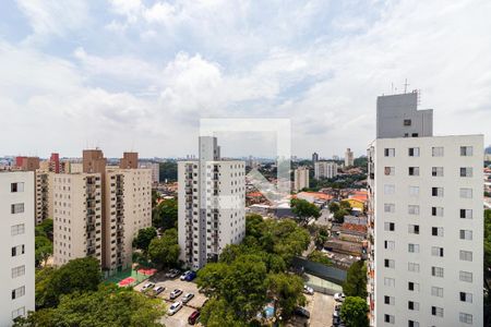 Apartamento para alugar com 2 quartos, 54m² em Jardim Umarizal, São Paulo