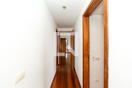 CORREDOR de apartamento para alugar com 3 quartos, 100m² em Buritis, Belo Horizonte