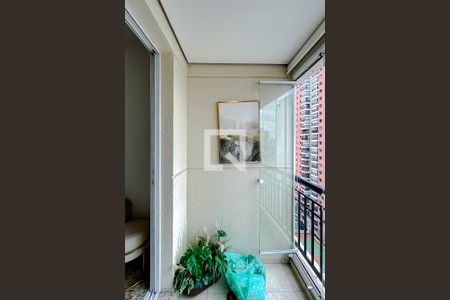 Varanda da Sala de apartamento para alugar com 3 quartos, 74m² em Vila Regente Feijó, São Paulo