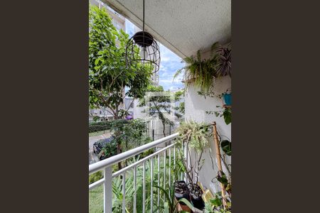 Apartamento para alugar com 2 quartos, 42m² em Cambuci, São Paulo